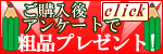���󥱡��Ȥ����ʥץ쥼��ȡ�