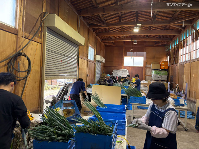 ネギの皮むき機・エアーブローの様子
