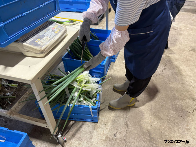 ネギの仕上げにエアーブローは欠かせない